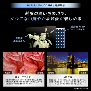 TVS REGZA 85V型 4K液晶テレビ 85M550R-イメージ5