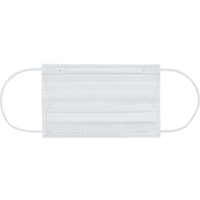 アイリスオーヤマ IRIS/296318 DAILY FIT MASK 小さめサイズ 30枚入 ホワイト FCA949Y-4695914