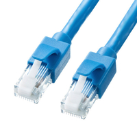 サンワサプライ カテゴリ6A LANケーブル(100m) ブルー KB-T6ATS-100BL