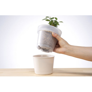 イノマタ化学 観察できる植木鉢 アイボリー FCJ393S-イメージ5