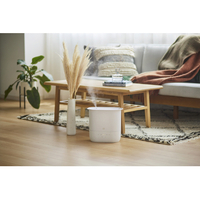 BRUNO 4．7Lハイブリット加湿器　COMFORT MIST BOE153-GRG