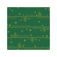 タカ印 包装紙10枚ロール ネージュ緑 全判 FCE876M-49-4626