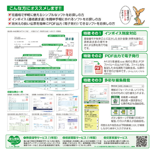 BSLシステム研究所 かるがるできる販売27 見積・納品・請求書+領収証 シリアル版 かるがるできるシリーズ ｶﾙｶﾞﾙﾃﾞｷﾙﾊﾝﾊﾞｲ27WC-イメージ2