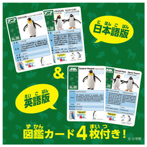タカラトミー アニア AL-36 ペンギン(水に浮くVer．) ホワイト ｱﾆｱAL36ﾍﾟﾝｷﾞﾝﾐｽﾞﾆｳｸVER-イメージ13