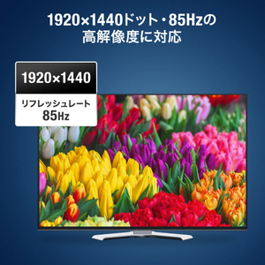 サンワサプライ ディスプレイ切替器(ミニD-sub(HD)15pin用)・2回路 SW-EV2N2-イメージ10