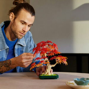 レゴジャパン LEGO ボタニカルコレクション 10348 もみじ 10348ﾎﾞﾝｻｲﾆﾎﾝﾉﾓﾐｼﾞ-イメージ7