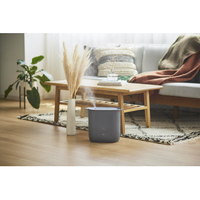 BRUNO 4．7Lハイブリット加湿器　COMFORT MIST BOE153-CGY