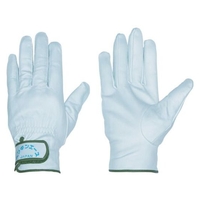 ペンギンエースジャパン 国産クレストレインジャー・アテナシ (F) FC170EZ-8552981