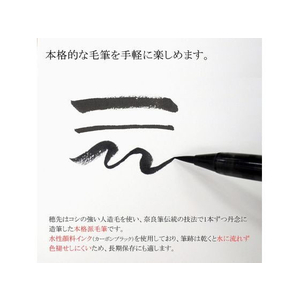 あかしや 天然竹筆ペン/透明ケース入り FCP1873-AK2000MP-イメージ3
