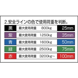 田村総業 ベルトスリング Pタイプ 3E 100×2.0 FC568HL-3903575-イメージ3