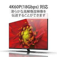 エレコム DH-HDLOA10BK 長尺HDMIケーブル(アクティブ エレコム DH-HDLOA10BK 長尺HDMIケーブル(アクティブ