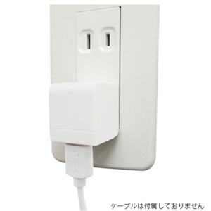トップランド コンセント用USBアダプタ 1A CHAC1A-WT-イメージ3