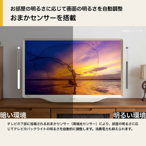 ハイセンス 32V型 フルハイビジョン SMART 液晶テレビ A5Sシリーズ 32A5S-イメージ10