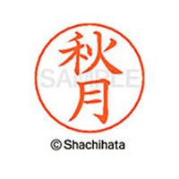 シヤチハタ ネームペン用ネーム シルバー 既製 秋月 FC45817-X-GPS-0046