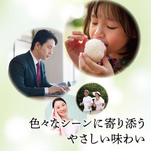 ミツウロコビバレッジ ミツウロコ／静岡茶 (静岡県産茶葉100％使用) 500ml×48本 FCV3945-イメージ7