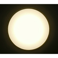 中古 アイリスオーヤマ LEDシーリングライト CL12DL-5.11WFV-U Amazon | アイリスオーヤマ LEDシーリングライト 音声操作 調光