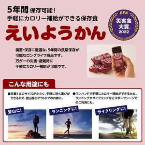 井村屋 えいようかん 60g 12本 FC195MM-イメージ6