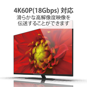 エレコム 長尺HDMIケーブル(アクティブオプティカル) 30m ブラック DH-HDLOA30BK-イメージ5