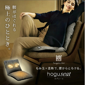 アメイズプラス hoguseat グレー ﾎｸﾞｼ-ﾄ-イメージ2