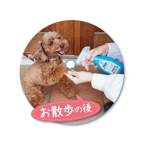 ペティオ 手足用 泡でふきとるドライシャンプー 全犬・全猫種用 350ml FCM1718-イメージ2