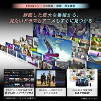 TVS REGZA 65E350R 65V型4Kチューナー内蔵4K対応液晶テレビ REGZA