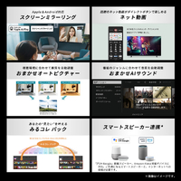 TVS REGZA 65E350R 65V型4Kチューナー内蔵4K対応液晶テレビ REGZA