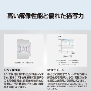 パナソニック デジタル一眼カメラ用交換レンズ デジタルカメラ_Sシリーズ交換レンズ ブラック S-S20-K-イメージ10