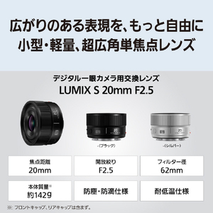 パナソニック デジタル一眼カメラ用交換レンズ デジタルカメラ_Sシリーズ交換レンズ ブラック S-S20-K-イメージ2