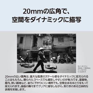 パナソニック デジタル一眼カメラ用交換レンズ デジタルカメラ_Sシリーズ交換レンズ ブラック S-S20-K-イメージ4