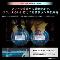 TVS REGZA 55E350R 55V型4Kチューナー内蔵4K対応液晶テレビ REGZA