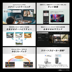 TVS REGZA 55V型4Kチューナー内蔵4K対応液晶テレビ REGZA 55E350R-イメージ9