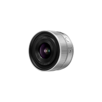 パナソニック デジタル一眼カメラ用交換レンズ デジタルカメラ_Sシリーズ交換レンズ シルバー S-S20-S