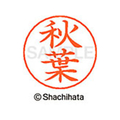 シヤチハタ ネームペン用ネーム シルバー 既製 秋葉 FC45820-X-GPS-0049