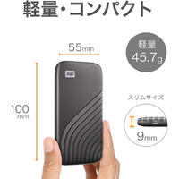 WESTERN DIGITAL WDBAGF0010BBL-JESN 外付けSSD USB-C+USB-A接続(1TB