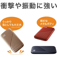 WESTERN DIGITAL WDBAGF0010BBL-JESN 外付けSSD USB-C+USB-A接続(1TB