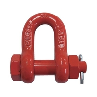 大洋製器工業 スーパーアロイシャックル TS-2.5t 2.5203248 FC975GT-7531699