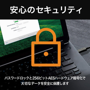 WESTERN DIGITAL 外付けSSD USB-C+USB-A接続(1TB/ポータブル型) My Passport SSD 2020 Hi-Speed ゴールド WDBAGF0010BGD-JESN-イメージ5