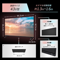 TVS REGZA 43E350R 43V型4Kチューナー内蔵4K対応液晶テレビ REGZA