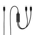 アイネックス USB-C二股充電ケーブル PD100W対応 1．2m ブラック UYC-CC12P10