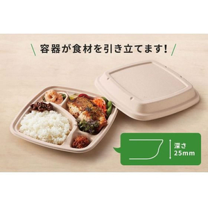 パックスタイル バガス容器 BB弁当 N23-23B ラミ 本体 50枚 FC313SH-00653868-イメージ10