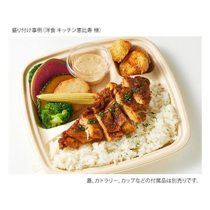 パックスタイル バガス容器 BB弁当 N23-23B ラミ 本体 50枚 FC313SH-00653868-イメージ2