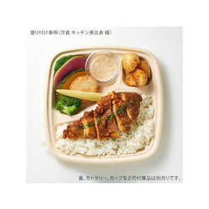 パックスタイル バガス容器 BB弁当 N23-23B ラミ 本体 50枚 FC313SH-00653868-イメージ3