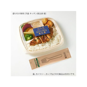 パックスタイル バガス容器 BB弁当 N23-23B ラミ 本体 50枚 FC313SH-00653868-イメージ4