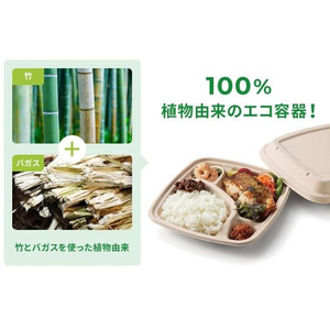 パックスタイル バガス容器 BB弁当 N23-23B ラミ 本体 50枚 FC313SH-00653868-イメージ7