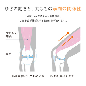 MTG Knee Fit Mサイズ(コントローラー別売) SIXPAD SEAY00BM-イメージ3
