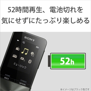 SONY デジタルオーディオプレイヤー(16GB) ウォークマンSシリーズ ブルー NW-S315 L-イメージ4