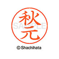 シヤチハタ ネームペン用ネーム シルバー 既製 秋元 FC45824-X-GPS-0053