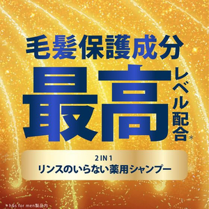 Ｐ＆Ｇ h&s menゴールド2in1 リンスのいらないシャンプー 替 300g FCE914S-イメージ6