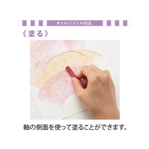 ぺんてる Vistage(ヴィスタージュ)大人の水彩パステル 12色 F021292-GHW1-12-イメージ3