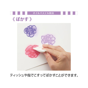 ぺんてる Vistage(ヴィスタージュ)大人の水彩パステル 12色 F021292-GHW1-12-イメージ4